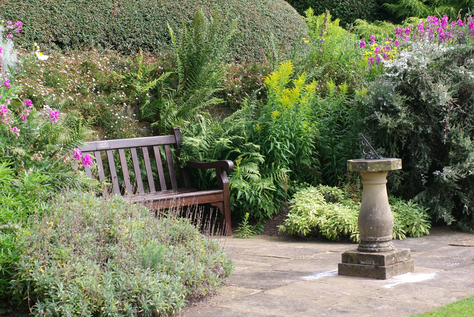 The Dorothy Garden (30) The Dorothy Garden (30)