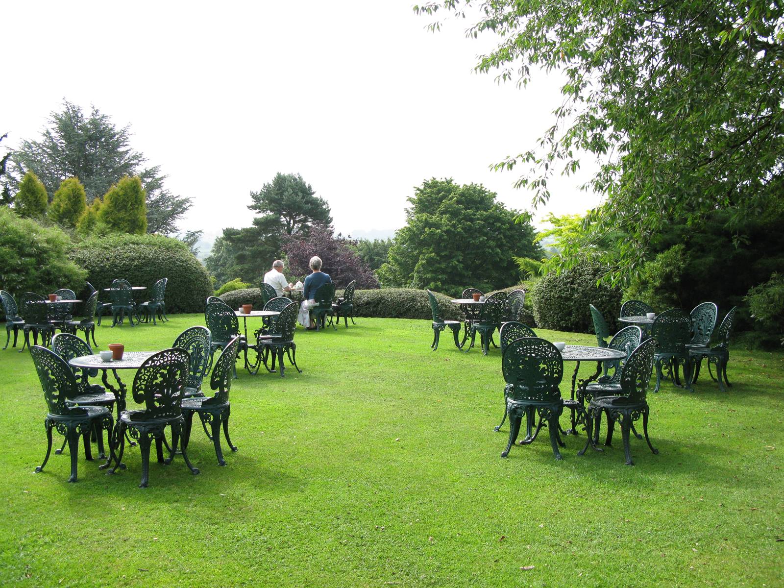 The Dorothy Garden (4) The Dorothy Garden (4)