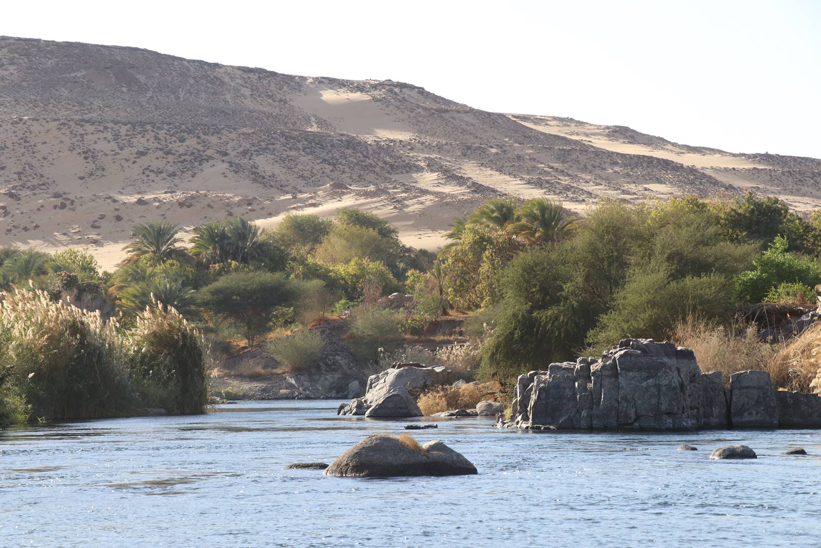 Assouan village nubien (3)