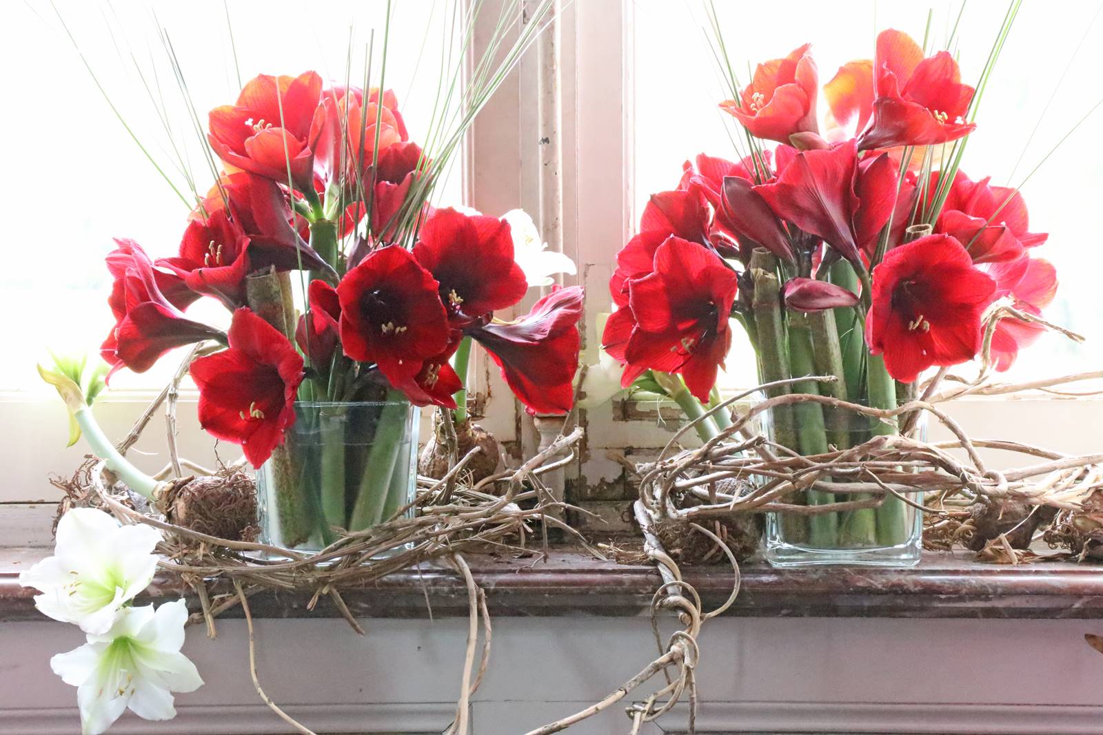 Château de Beloeil (28)