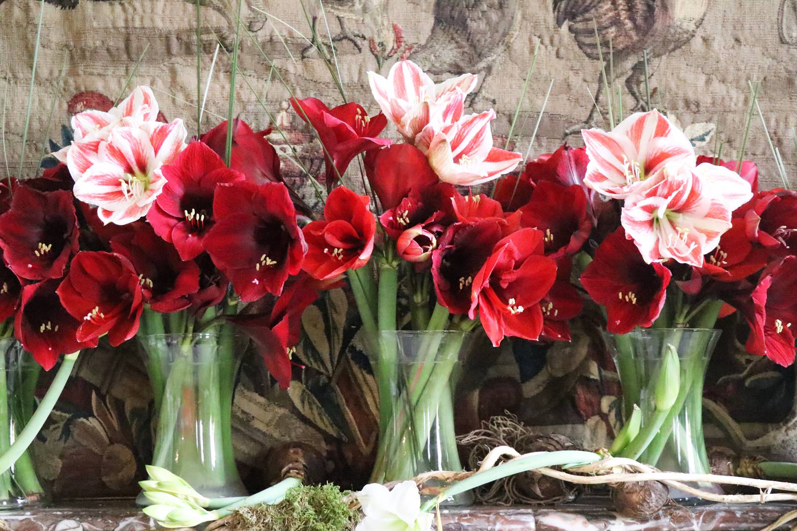 Château de Beloeil (31)