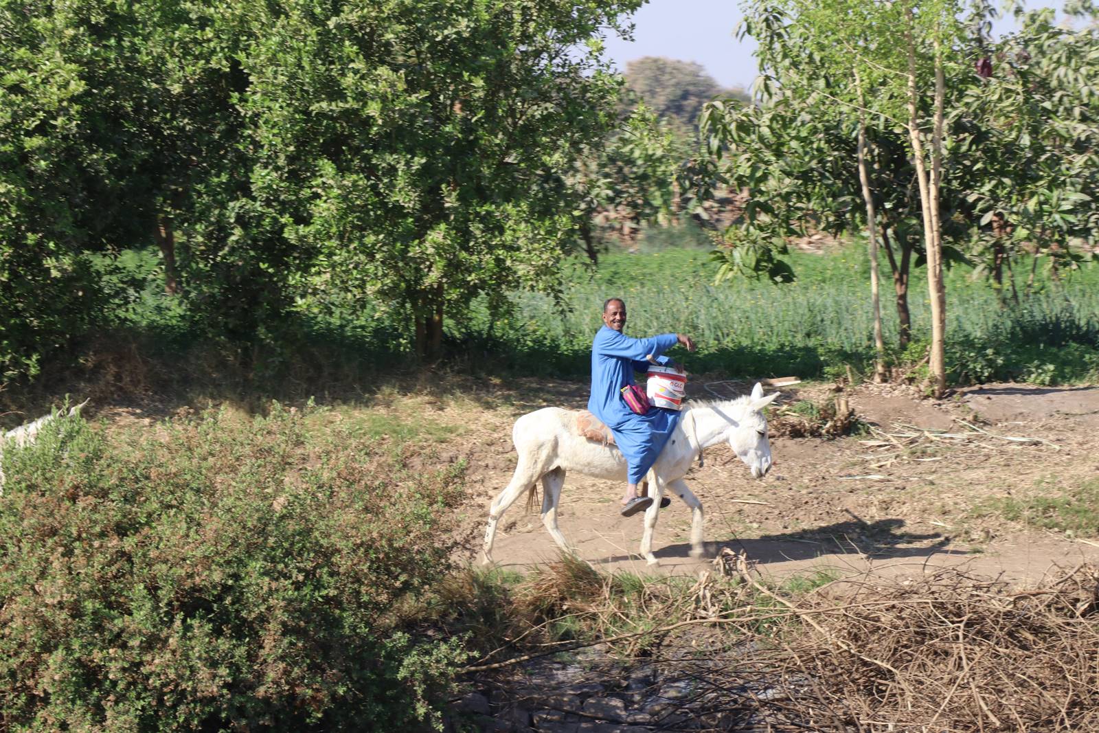 Valéle fertile du Nil (3)