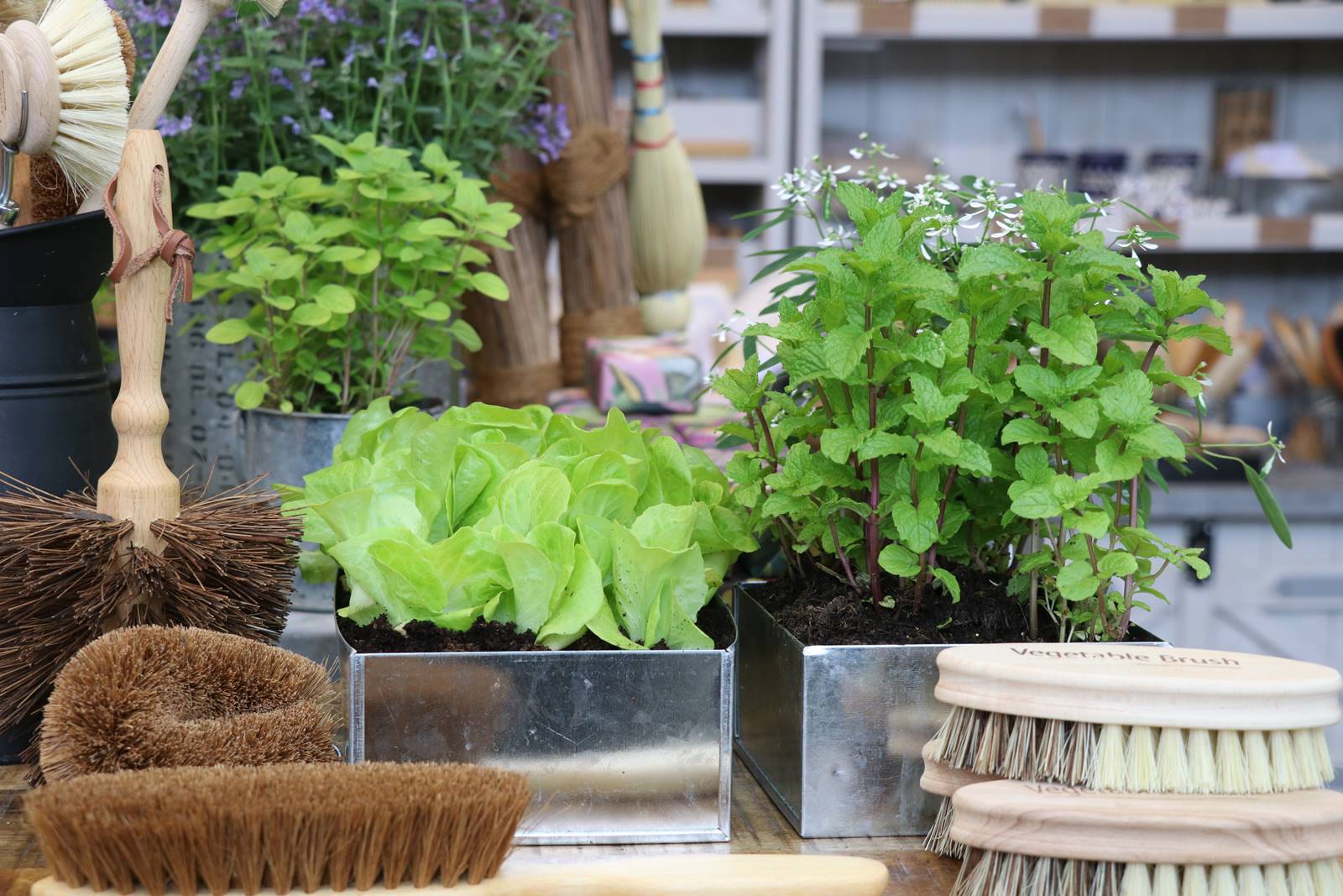 Chelsea jardinage (1)