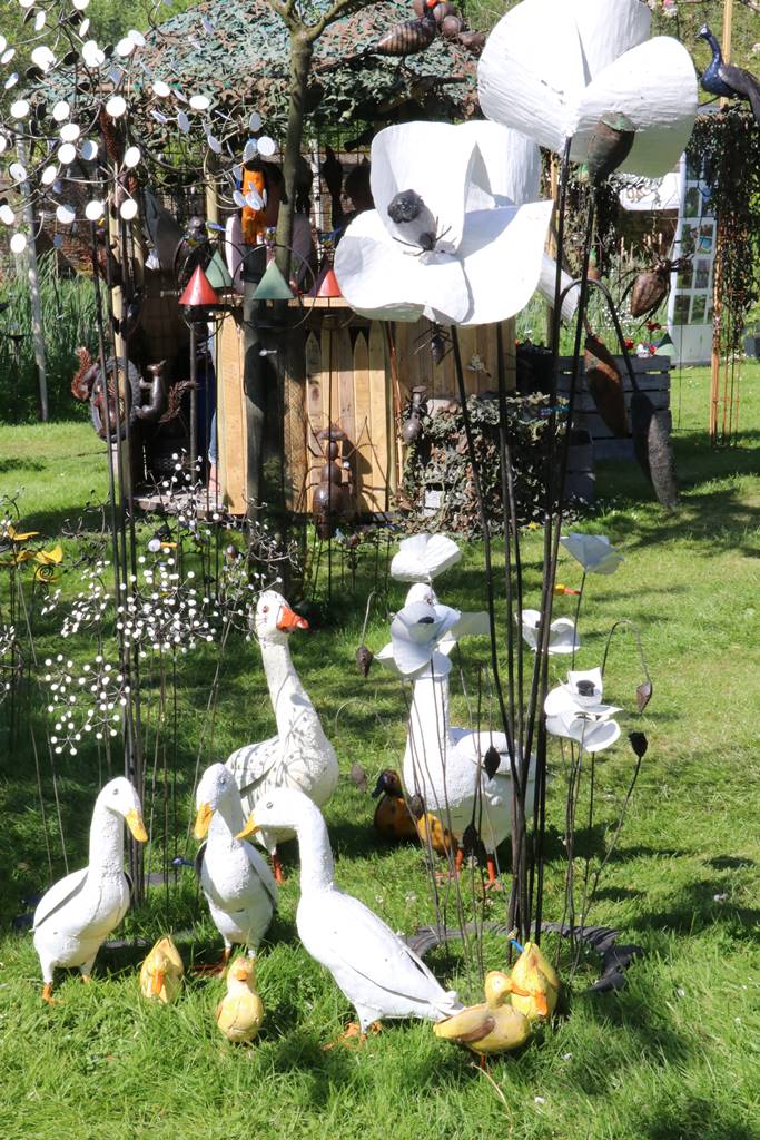 Déco Arrosoir et Persil