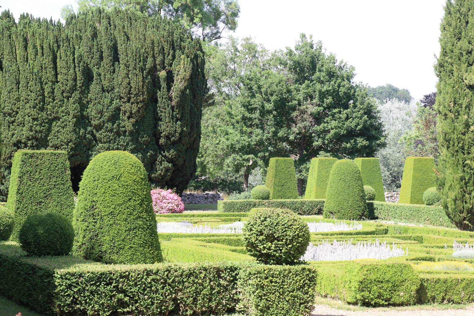 Lorrière Dissé sous le Lude (11)