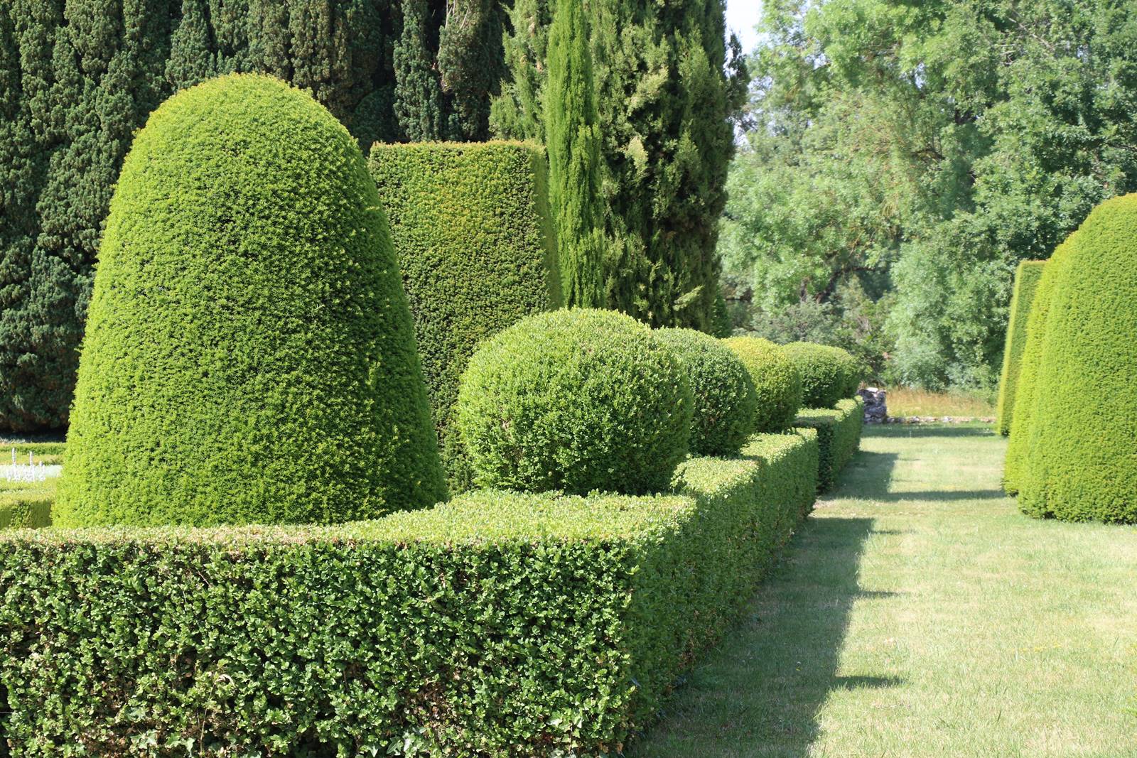 Lorrière Dissé sous le Lude (13)