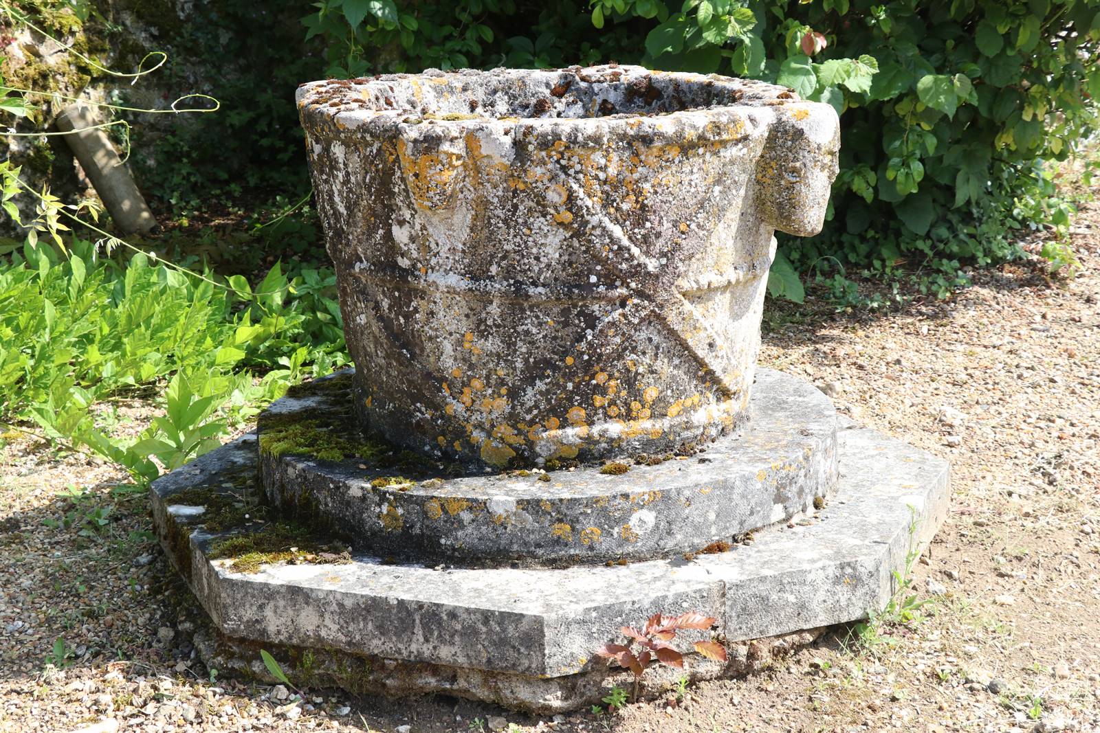 Lorrière Dissé sous le Lude (25)