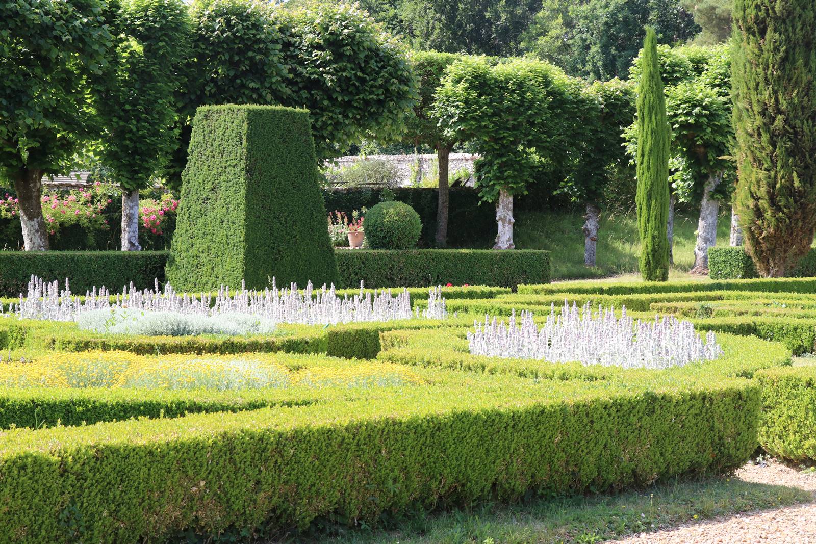 Lorrière Dissé sous le Lude (26)