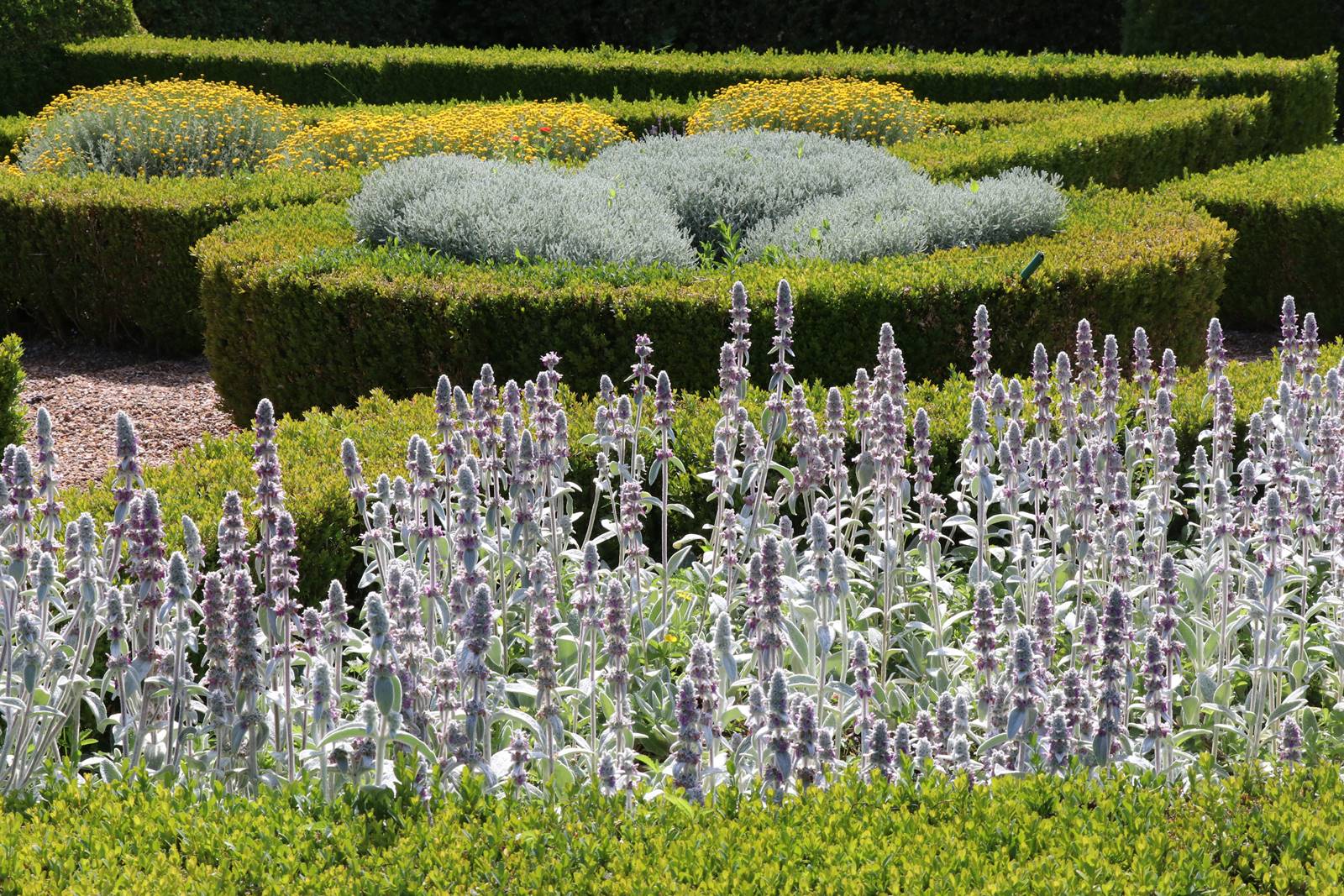 Lorrière Dissé sous le Lude (27)