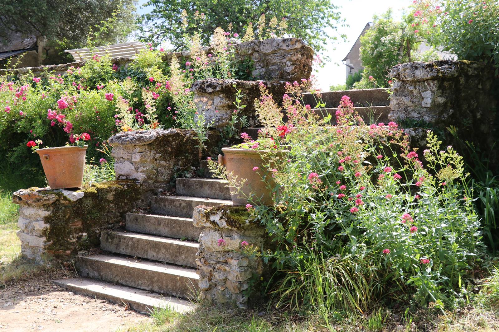Lorrière Dissé sous le Lude (29)