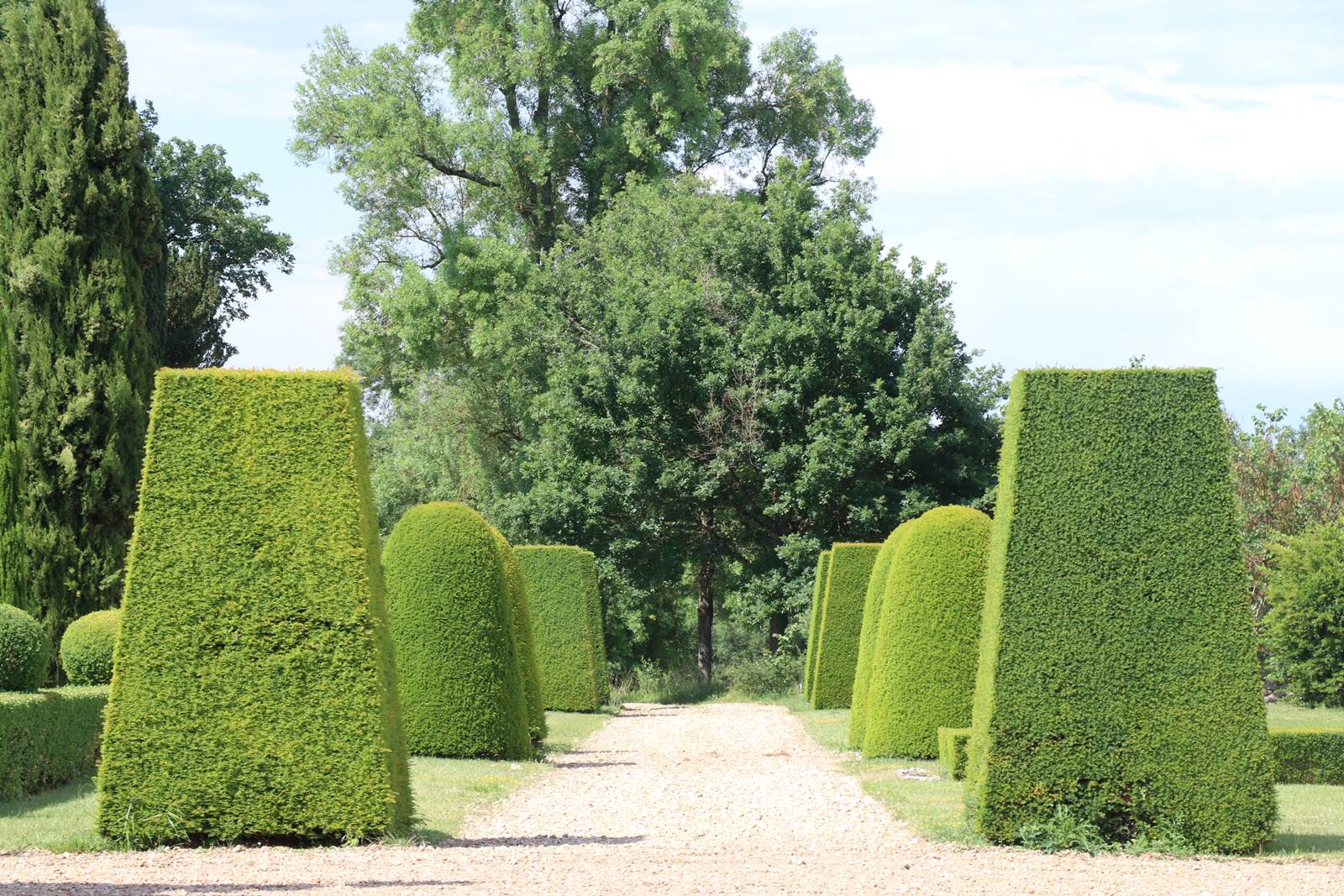 Lorrière Dissé sous le Lude (7)