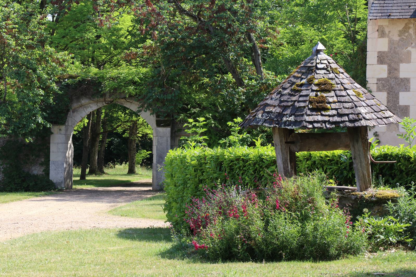 Lorrière Dissé sous le Lude (9)
