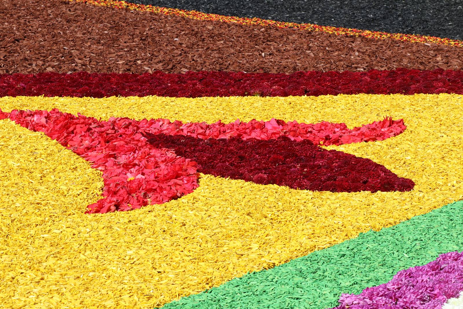 Brussels Flower Carpet (20)