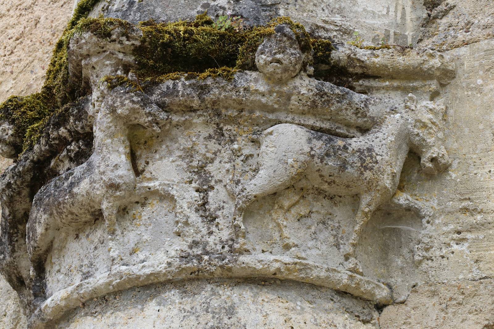 Pierre de Ronsard (20) Pierre de Ronsard (20)
