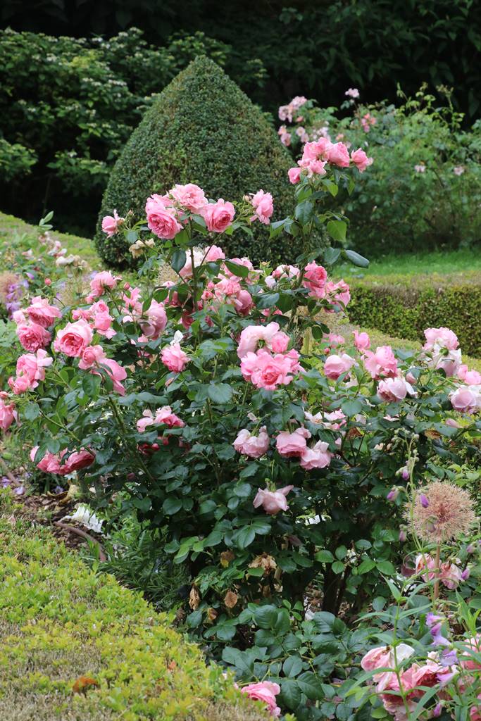 Poncé sur le Loir (25)