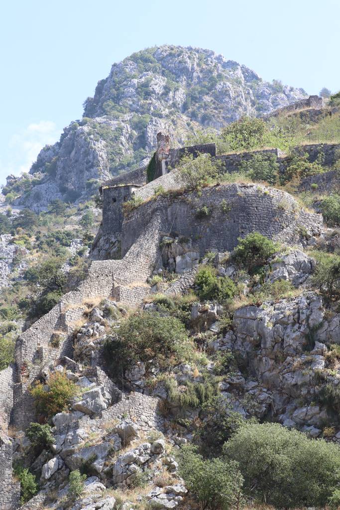 Kotor (7)