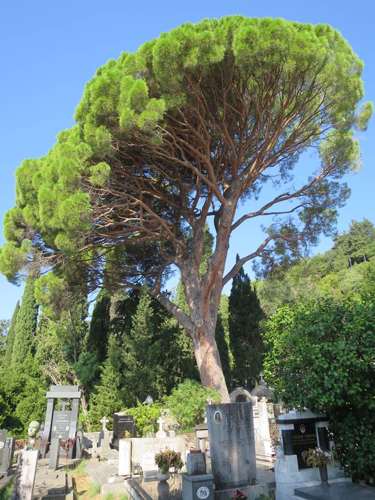 Monastère de Savina (3)