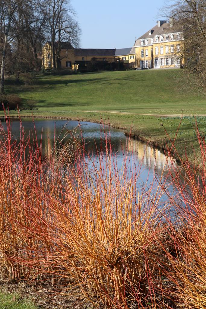 Parc du Château de Court-St-Etienne (10)