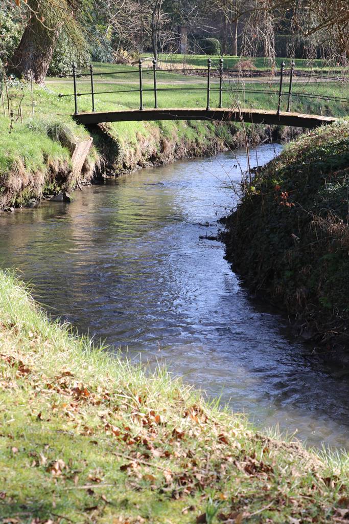 Parc du Château de Court-St-Etienne (11)
