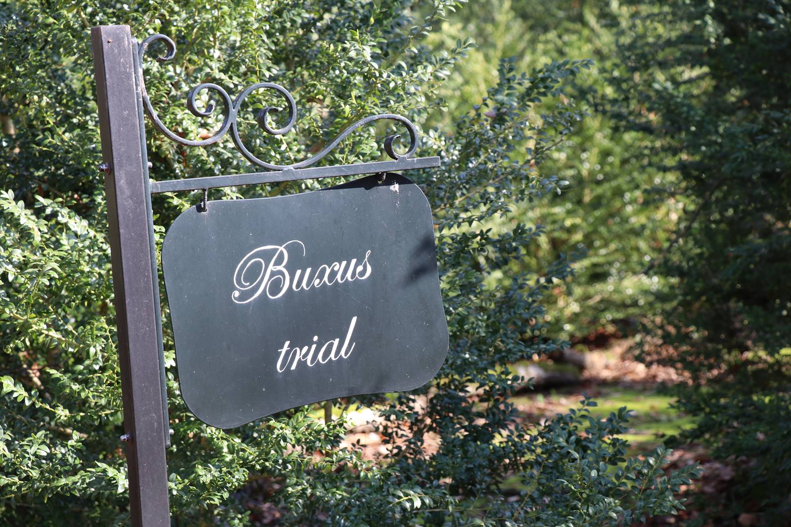 Parc du Château de Court-St-Etienne (13)