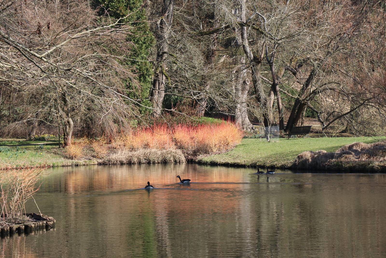 Parc du Château de Court-St-Etienne (14)