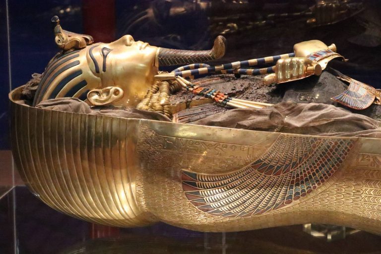 Toutankhamon, sa tombe et ses trésors - La terre est un jardin