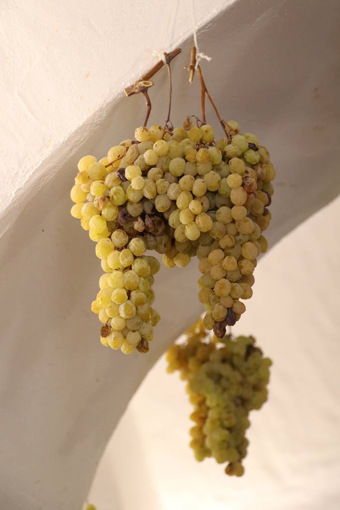 Alentejo vin de Talha (15) Alentejo vin de Talha (15)