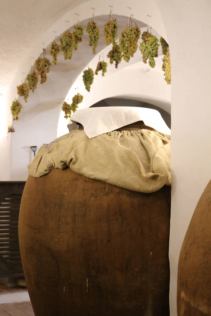 Alentejo vin de Talha (17) Alentejo vin de Talha (17)