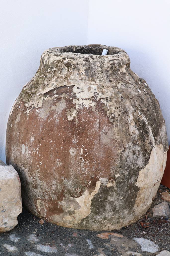 Alentejo vin de Talha (21) Alentejo vin de Talha (21)