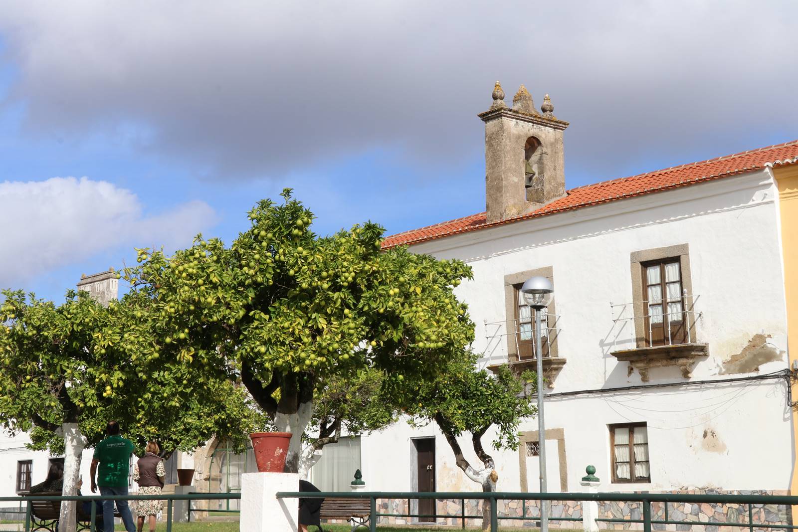 Alentejo vin de Talha (33) Alentejo vin de Talha (33)
