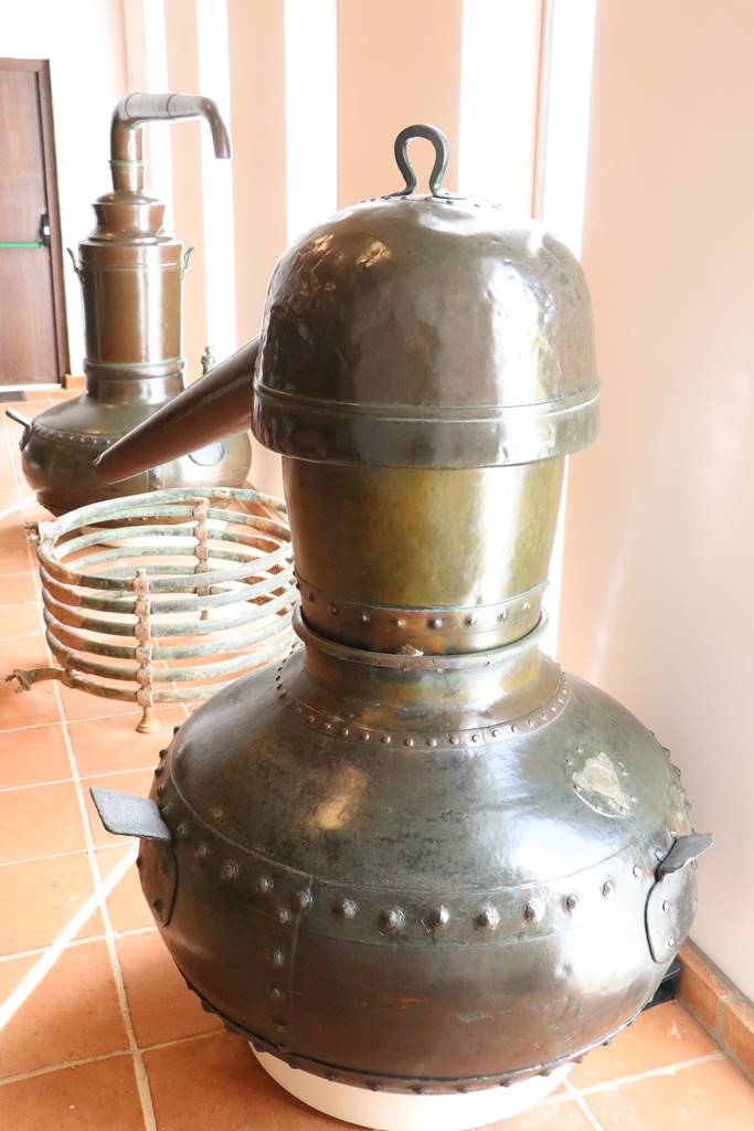 Alentejo vin de Talha (36) Alentejo vin de Talha (36)