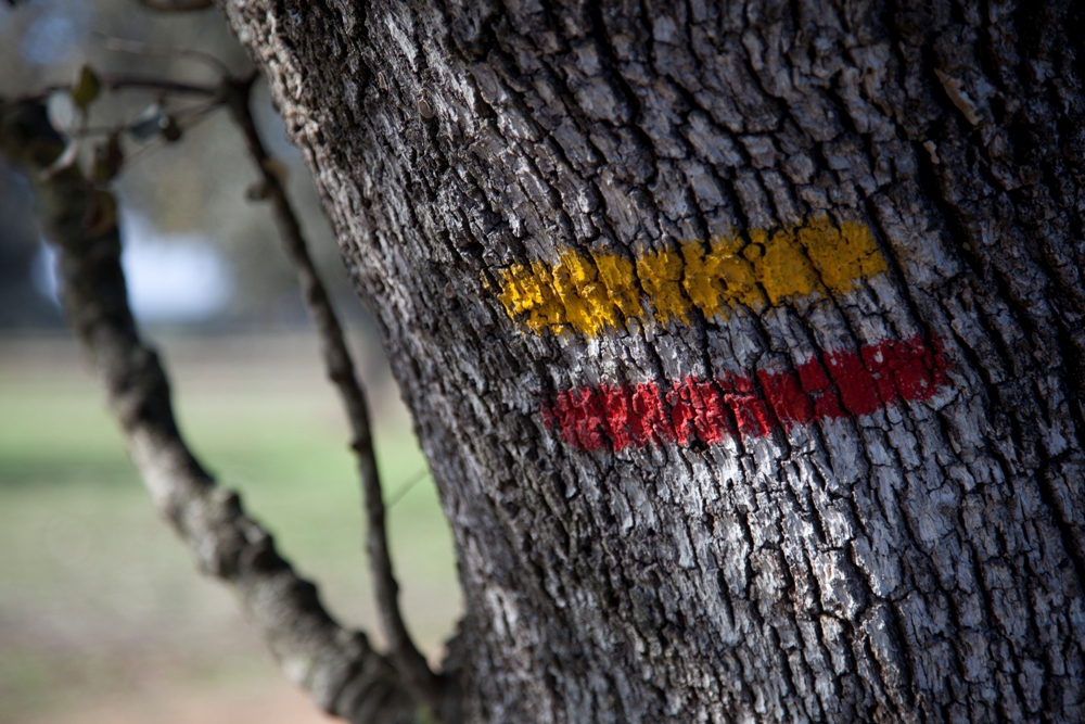Alentejo walking trail (4)