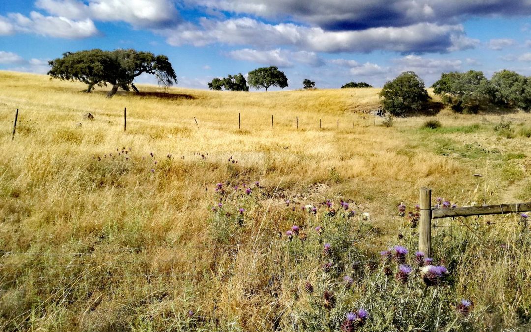 TransAlentejo, pur Portugal