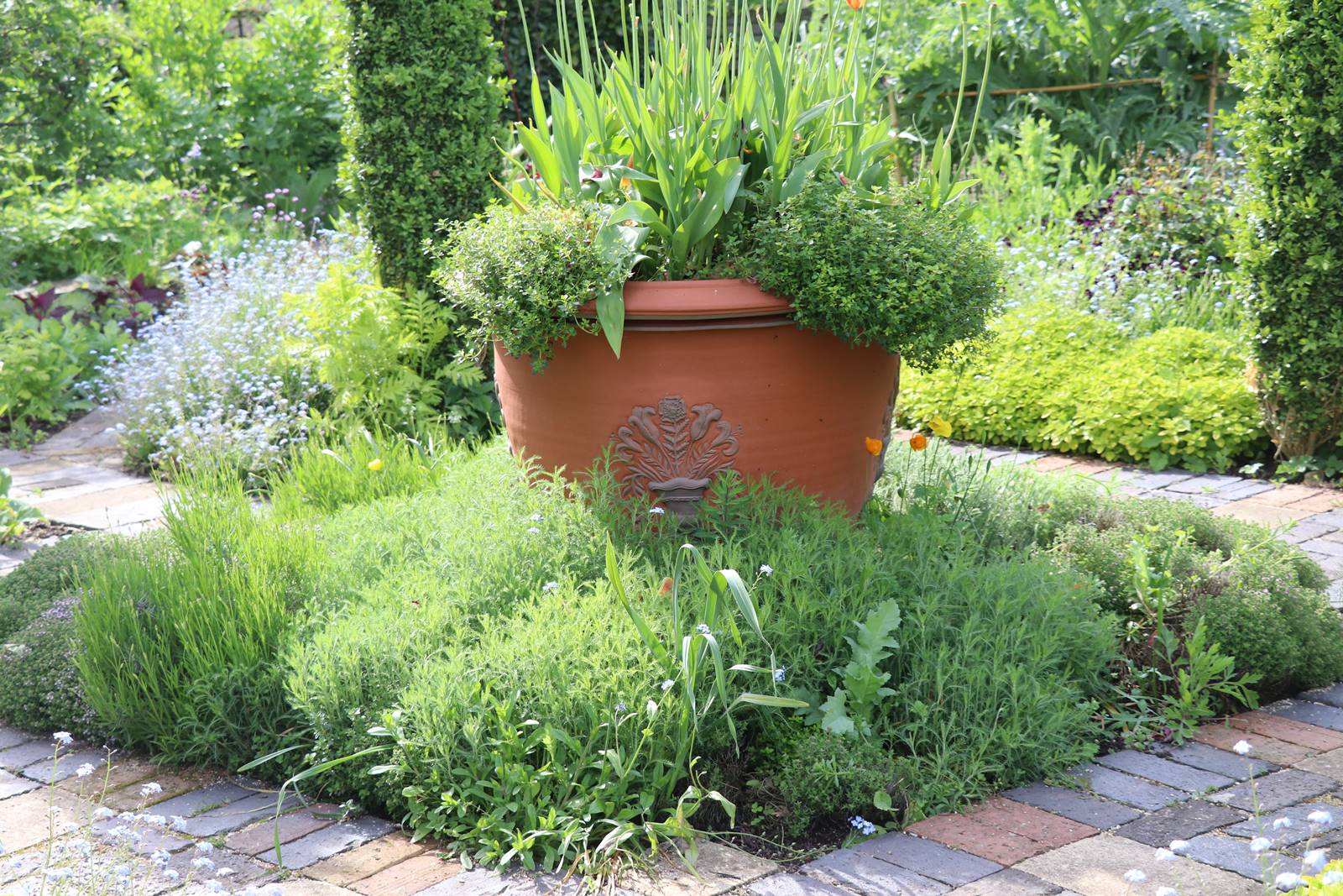 Barnsley House Garden (36) Barnsley House Garden (36)