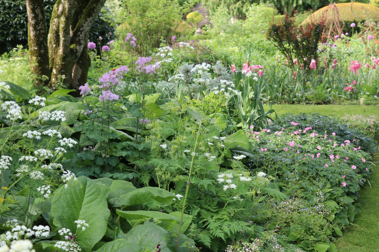 Barnsley House Garden (40) Barnsley House Garden (40)