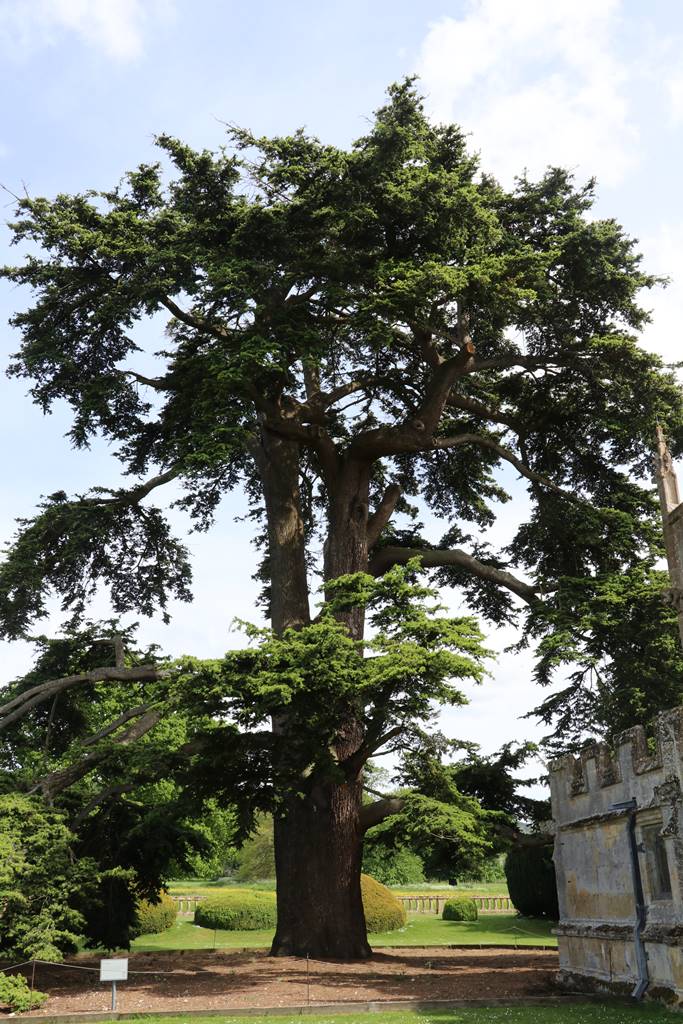 Sudeley Castle & Gardens (17)
