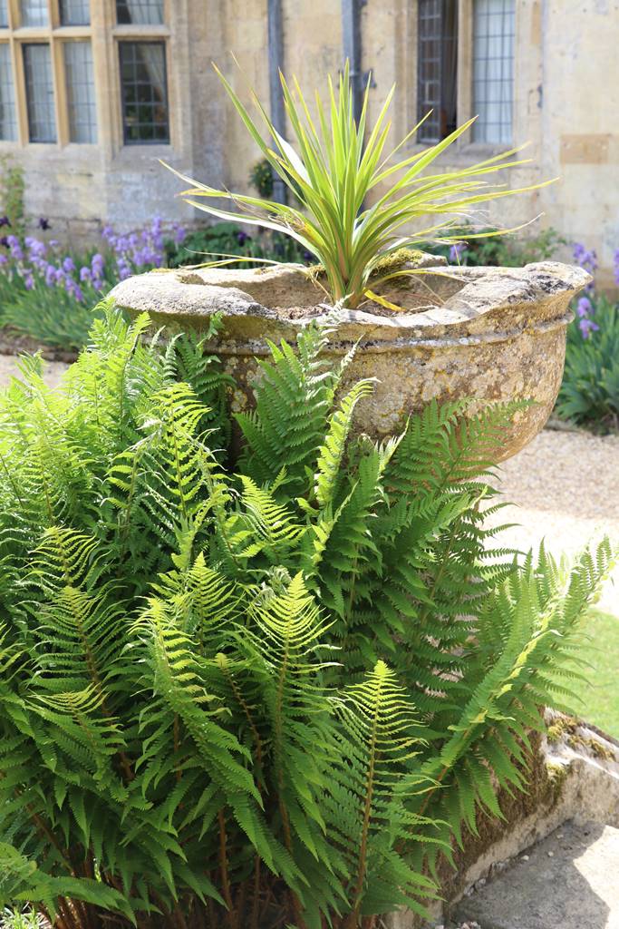 Sudeley Castle & Gardens (19)