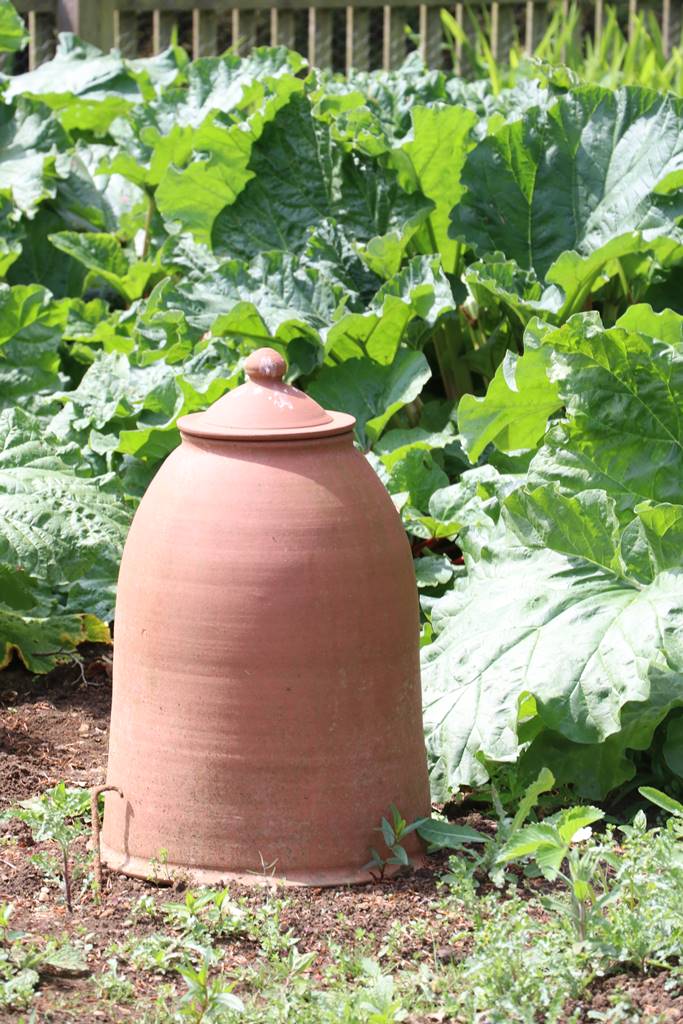 Hidcote Manor Cotswolds (13)