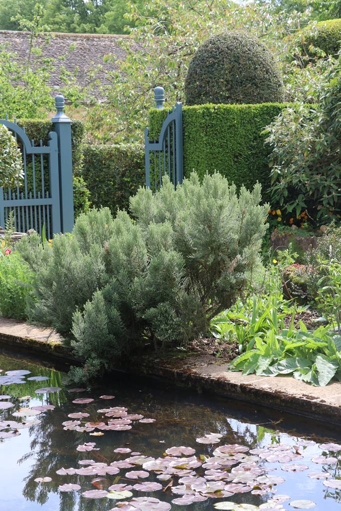 Hidcote Manor Cotswolds (14)