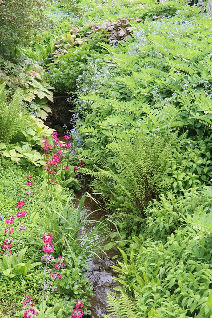 Hidcote Manor Cotswolds (20)