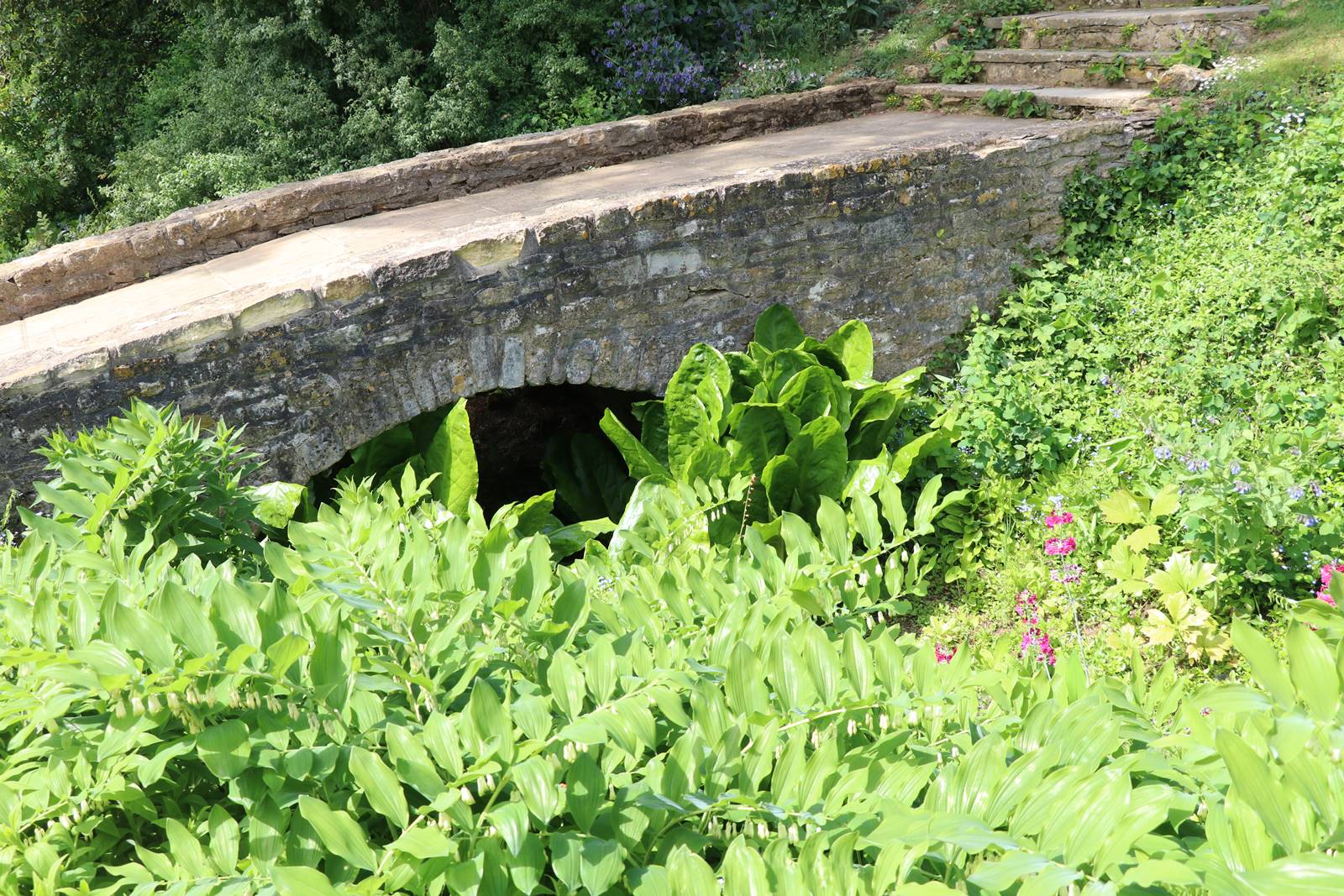 Hidcote Manor Cotswolds (29)