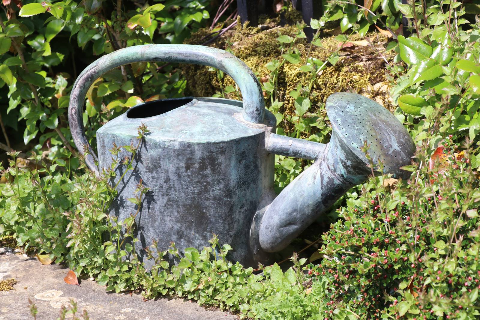 Hidcote Manor Cotswolds (38)