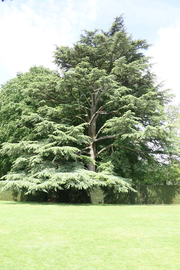 Hidcote Manor Cotswolds (39)