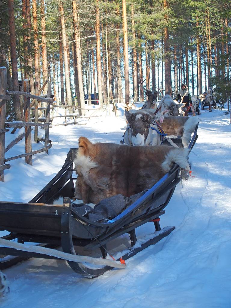SieriPoro ferme aux rennes SieriPoro ferme aux rennes