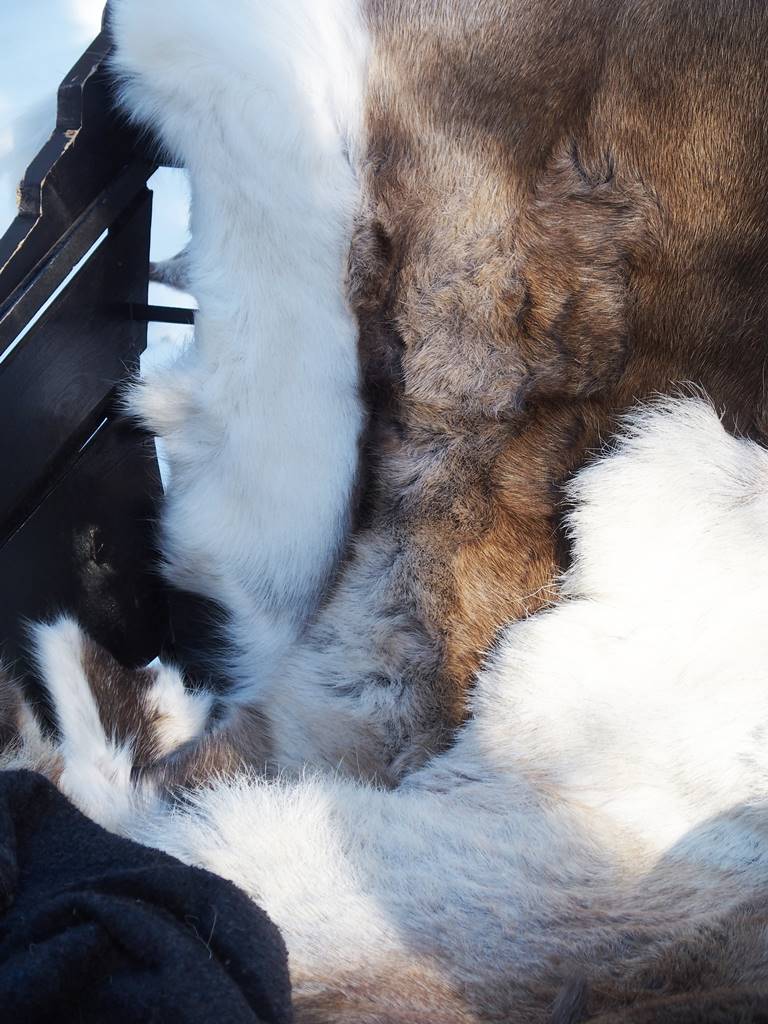 SieriPoro ferme aux rennes SieriPoro ferme aux rennes