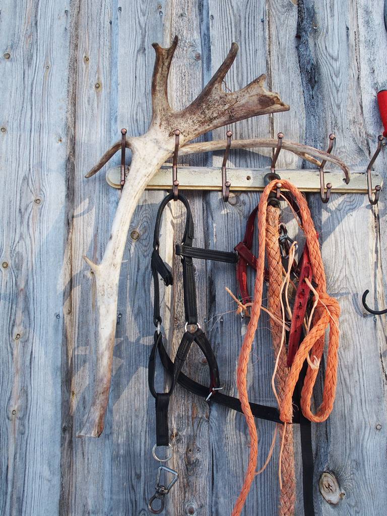 SieriPoro ferme aux rennes SieriPoro ferme aux rennes