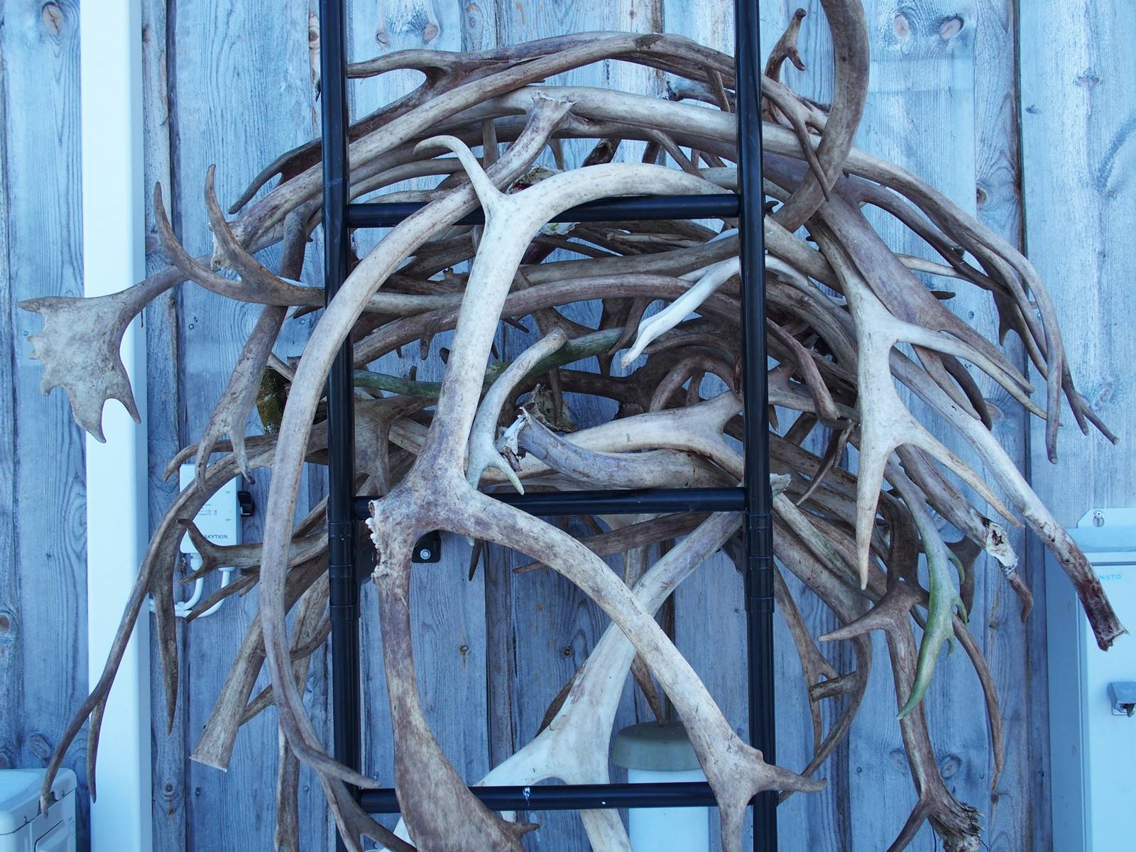 SieriPoro ferme aux rennes SieriPoro ferme aux rennes