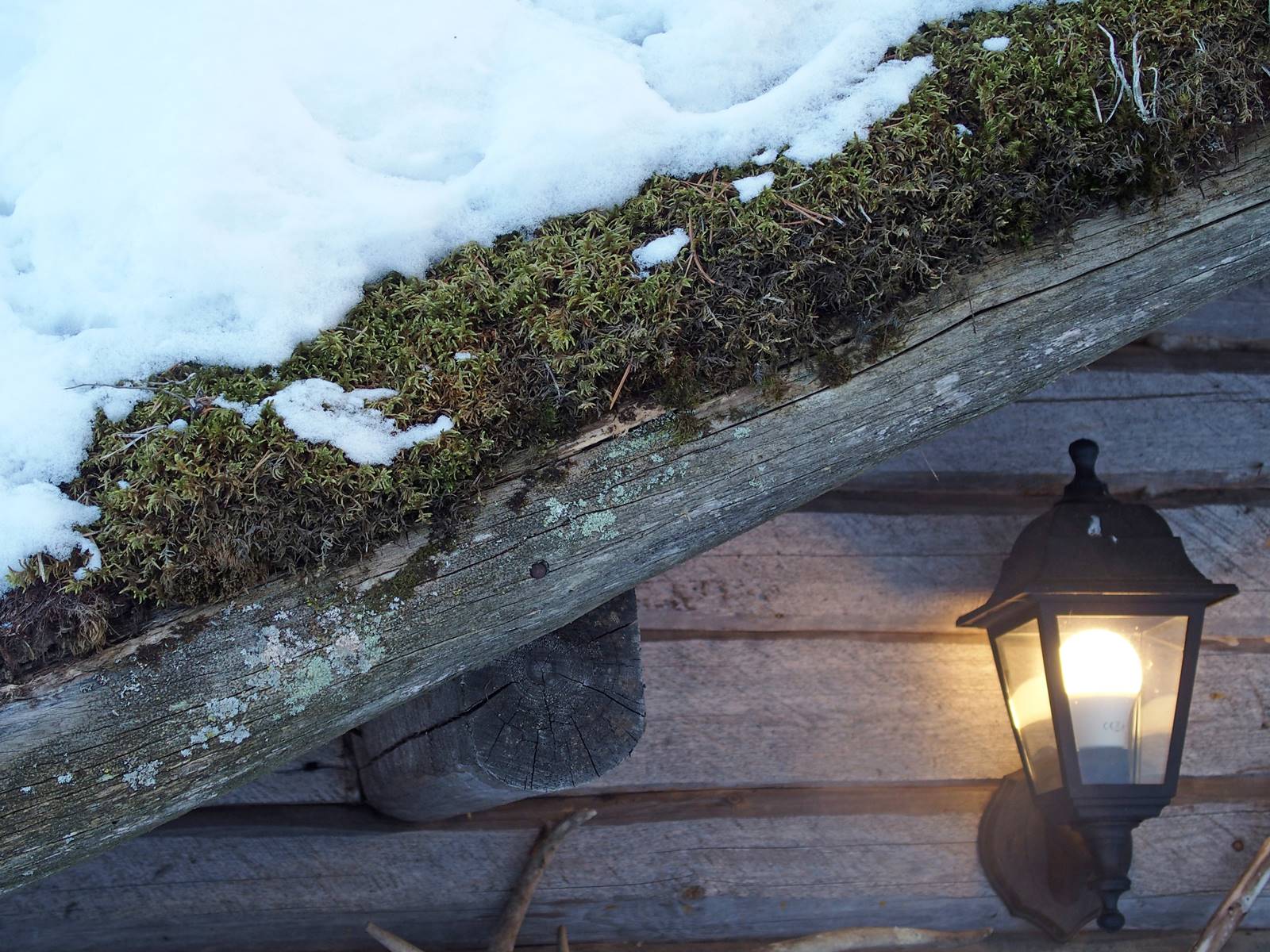 SieriPoro ferme aux rennes SieriPoro ferme aux rennes