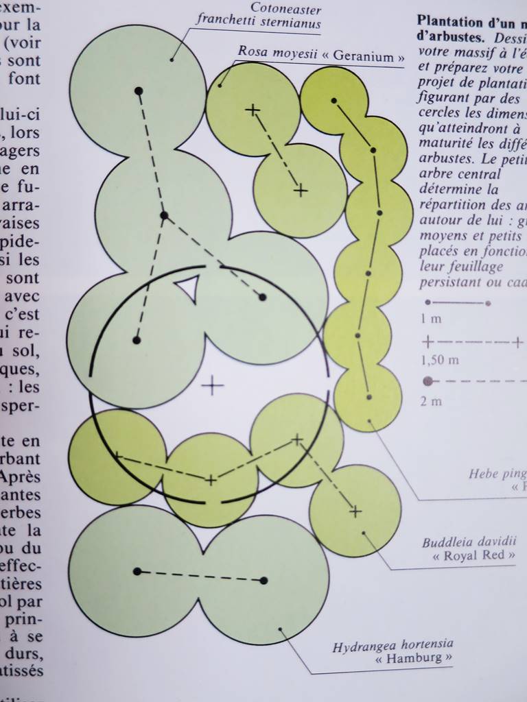 J Brookes landscape designer (17)