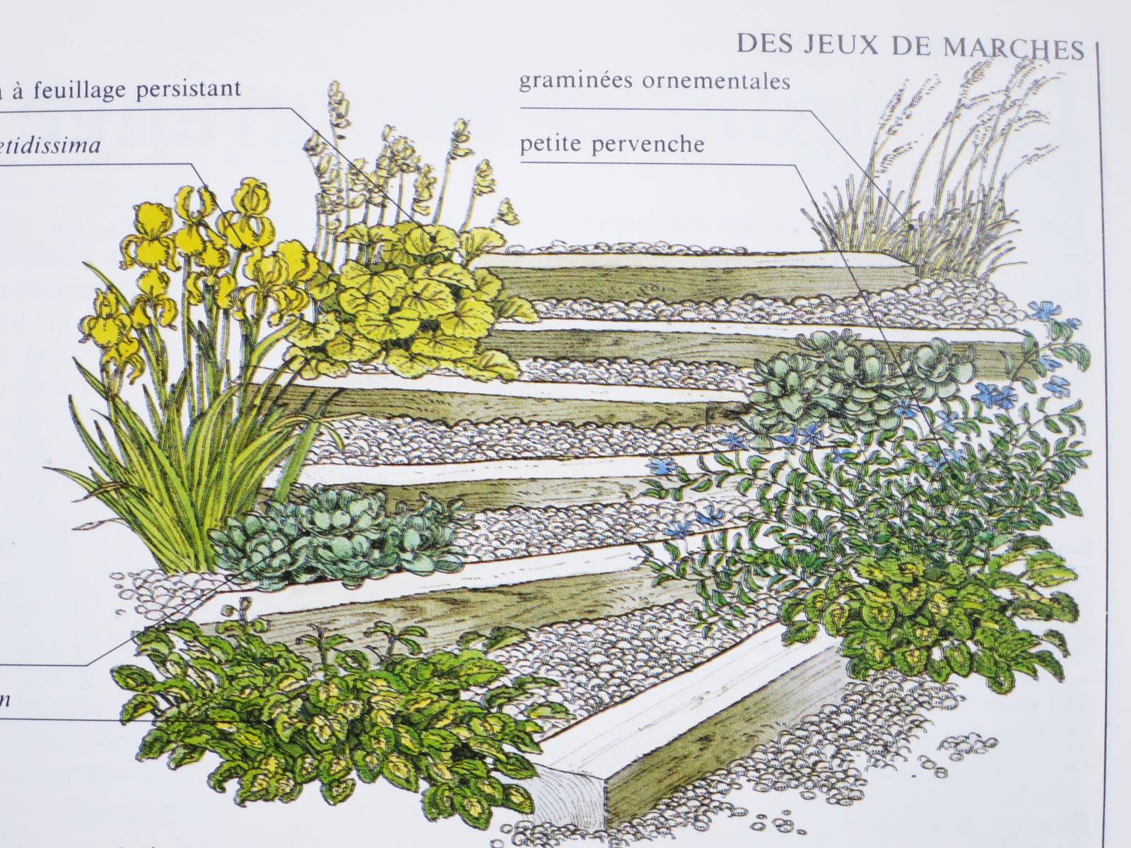 J Brookes landscape designer (24)